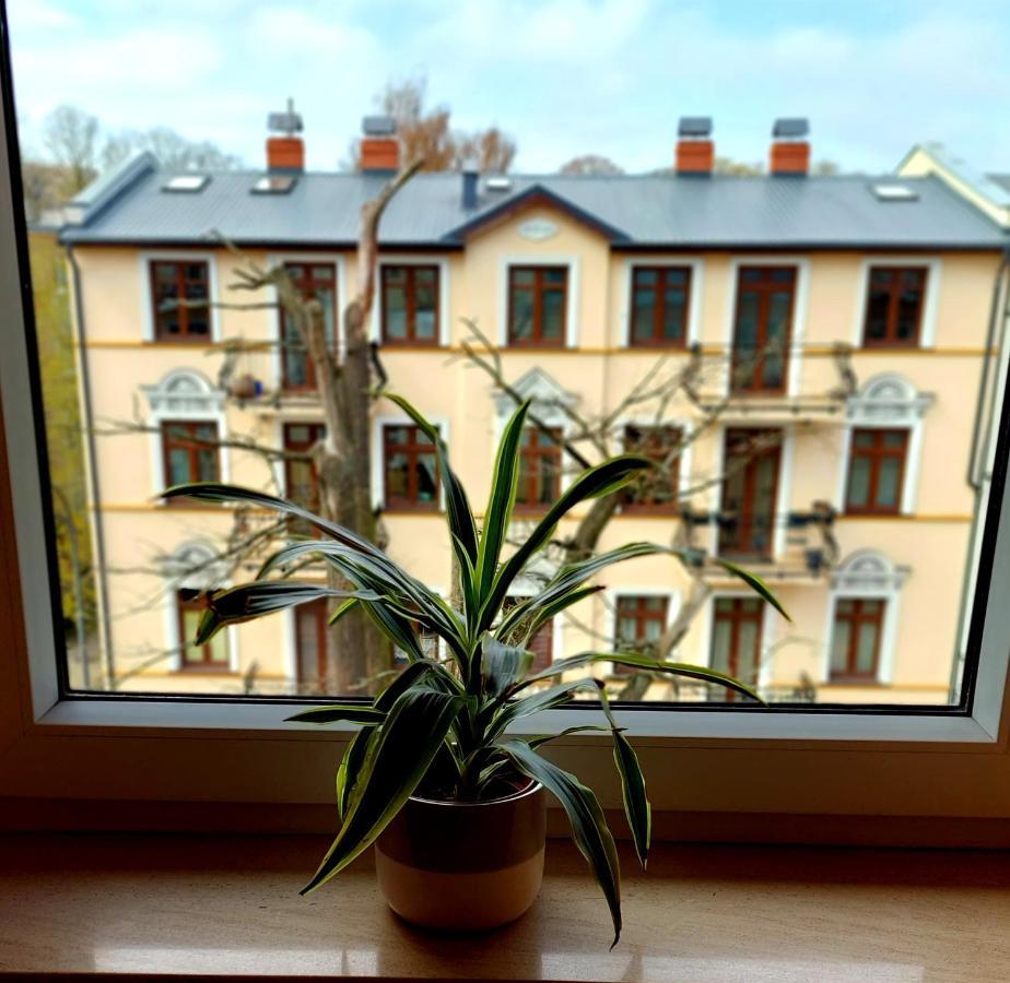 Apartament Pacific 2 Rooms / Pokoje Svinoústí Exteriér fotografie