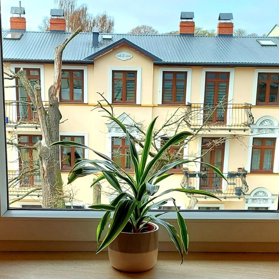 Apartament Pacific 2 Rooms / Pokoje Svinoústí Exteriér fotografie